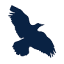 skiyellowknife.com