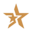 starlifefiles.com