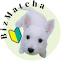 bizmatcha.website
