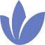 euforaprotreatment.com