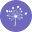 guptaprogram.com