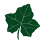 ivyleaguepa.com