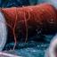 looseendoftheredthread.wordpress.com