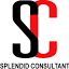 splendidconsult.com