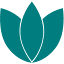 taoconnect.org