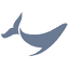 umhlangaoceancharters.co.za