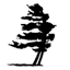 evergreen-therapy.ca