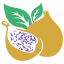 healthfig.com