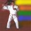 judogokyo.com