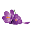 kpsmemorialcards.com
