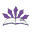 naminews.com