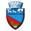 primariavl.ro