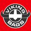 vikingbags.com