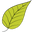 allsopgarden.com