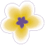 arainbowinparadise.com