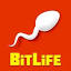 bitlifegame.com