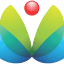 cholayil.com