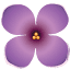 csnh.com
