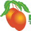 dominicantropicalfruits.com