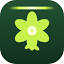 growingdank.com