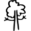 halipuu.com