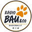 radiobau.it