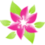 sweetflowerhk.com
