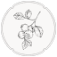 tyberrymuch.com