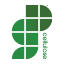 gpcellulose.com