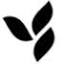 herbalifeproductbrochure.com