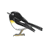 hinewai.org.nz