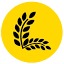 lorentius.be