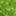 abrandnewleaf.com