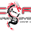 corekaratesystems.com