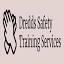 dreddssafetyservices.com