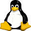jfalling.com