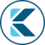 kintecglobal.com