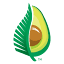 nzavocado.co.nz