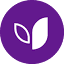qikkids.com.au