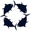 regattafortuna.com