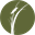 rivergrasswm.com