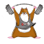 shreddedsports.com