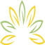 buyevergreenshrubs.com