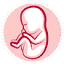 drdeepbhadra.com