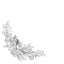 firstimpressionshairandskin.ca