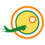 flyradius.com
