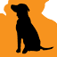 fppdt.org.au