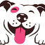 funadog.com