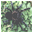 tarantula-project.org