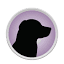 therapiehund.sh